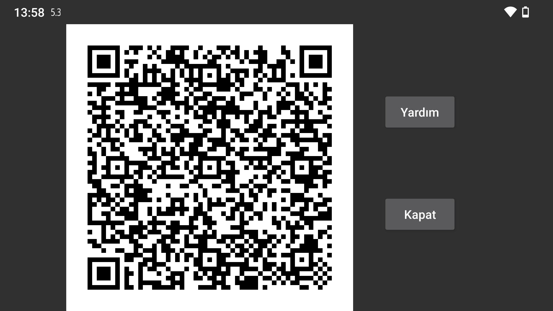 QR mirror